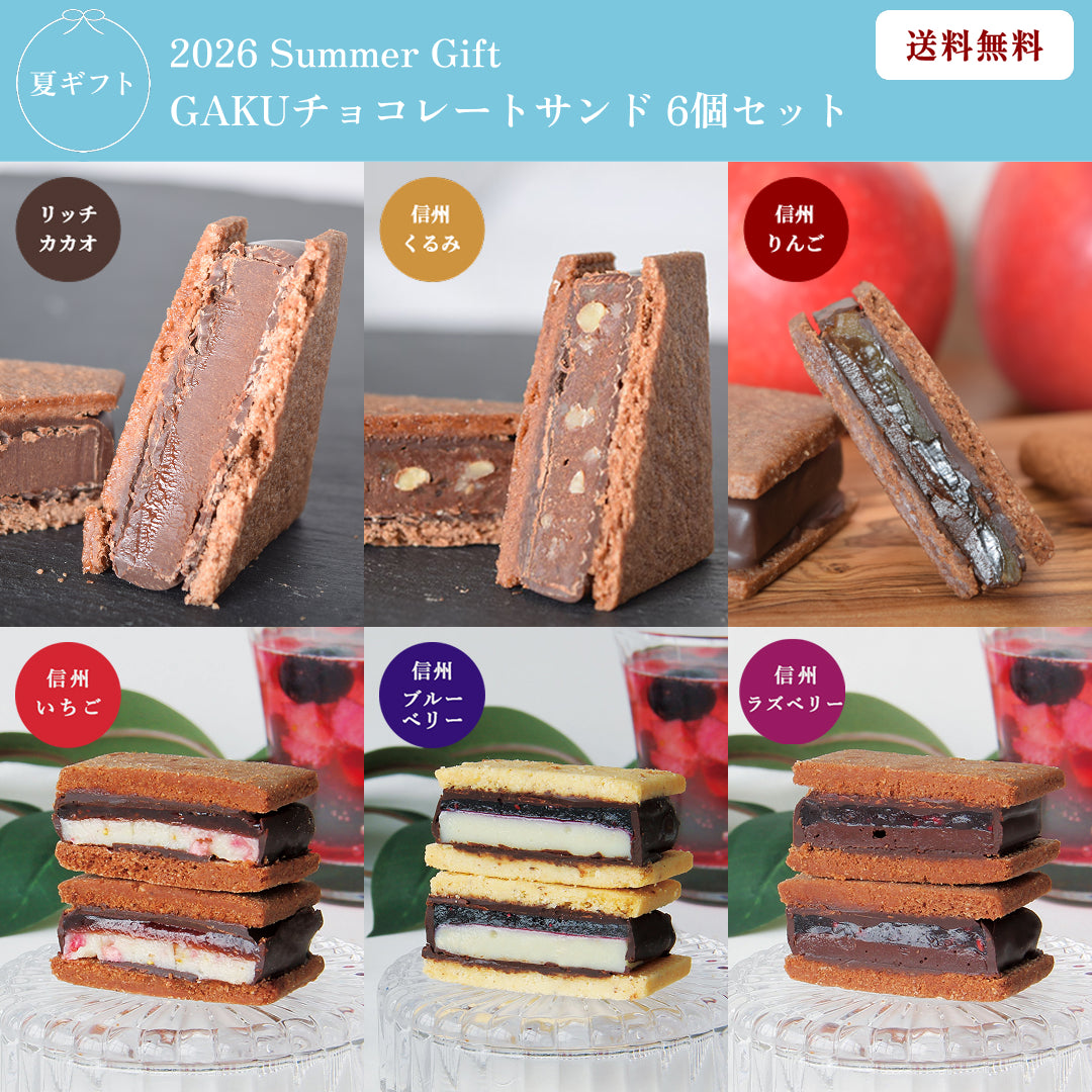 SummerGift 2026】【送料無料】GAKUチョコレートサンド6個セット