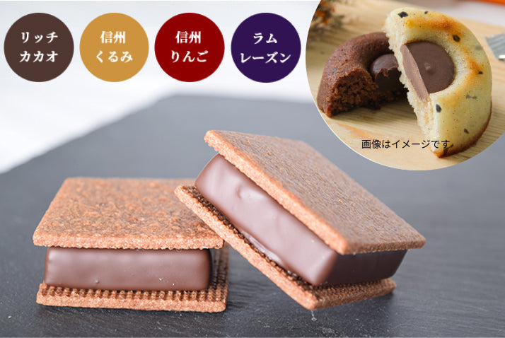 【焼菓子バラエティ6個セット】チョコサンド4個（リッチカカオ・信州くるみ・信州りんご・ラムレーズン各1個）＆GAKUティグレ2個（チョコ・ミルク各1個）