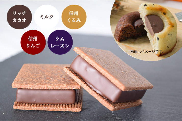 【焼菓子バラエティ12個セット】チョコサンド6個（リッチカカオ2個・ミルク・信州くるみ・信州りんご・ラムレーズン各1個）＆GAKUティグレ6個（チョコ・ミルク各3個）
