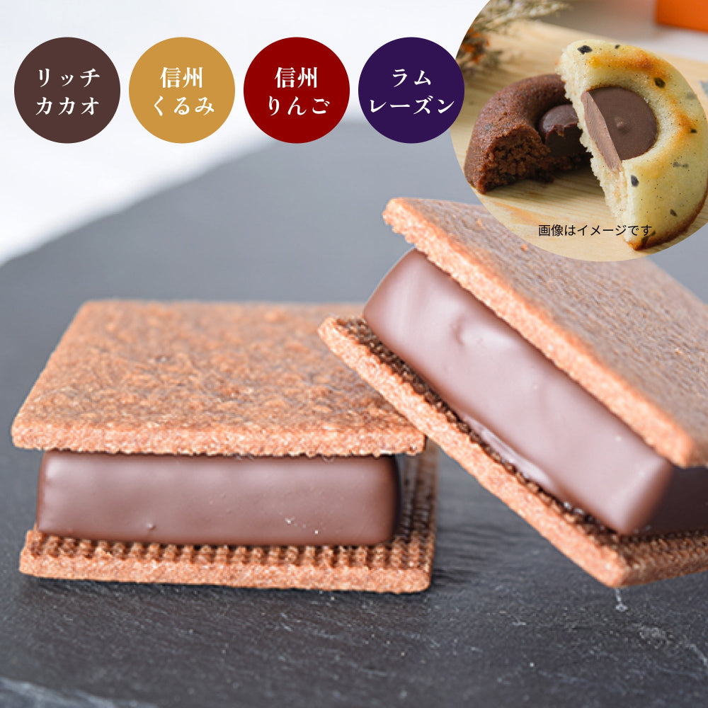 【焼菓子バラエティ6個セット】チョコサンド4個（リッチカカオ・信州くるみ・信州りんご・ラムレーズン各1個）＆GAKUティグレ2個（チョコ・ミルク各1個）