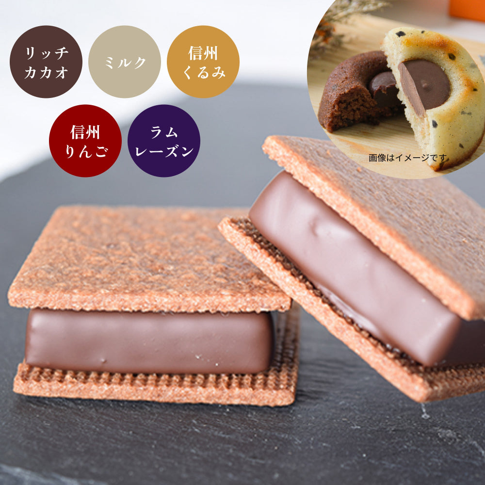 【焼菓子バラエティ12個セット】チョコサンド6個（リッチカカオ2個・ミルク・信州くるみ・信州りんご・ラムレーズン各1個）＆GAKUティグレ6個（チョコ・ミルク各3個）