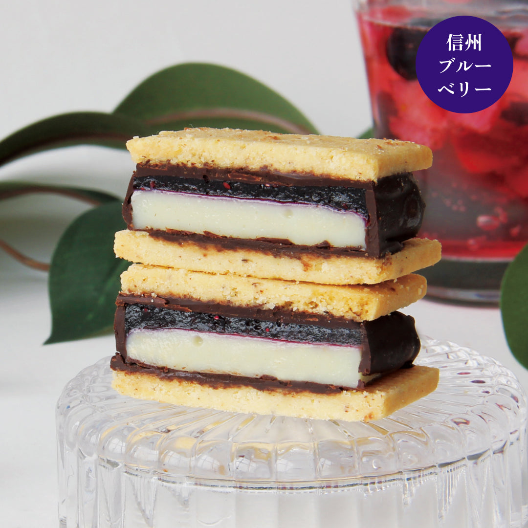 【送料無料】GAKUチョコレートサンド6個セット（リッチカカオ・ミルク・信州いちご・信州ブルーベリー・信州ラズベリー・瀬戸内レモン）
