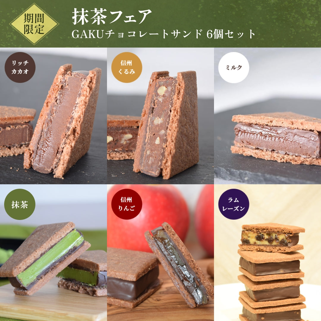 GAKUチョコレートサンド6個セット（抹茶・リッチカカオ・ミルク・信州くるみ・信州りんご・ラムレーズン各1個セット）