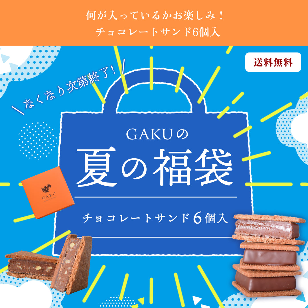 【夏のお楽しみ福袋】【送料無料】何が入っているかお楽しみ！ チョコレートサンド6個入