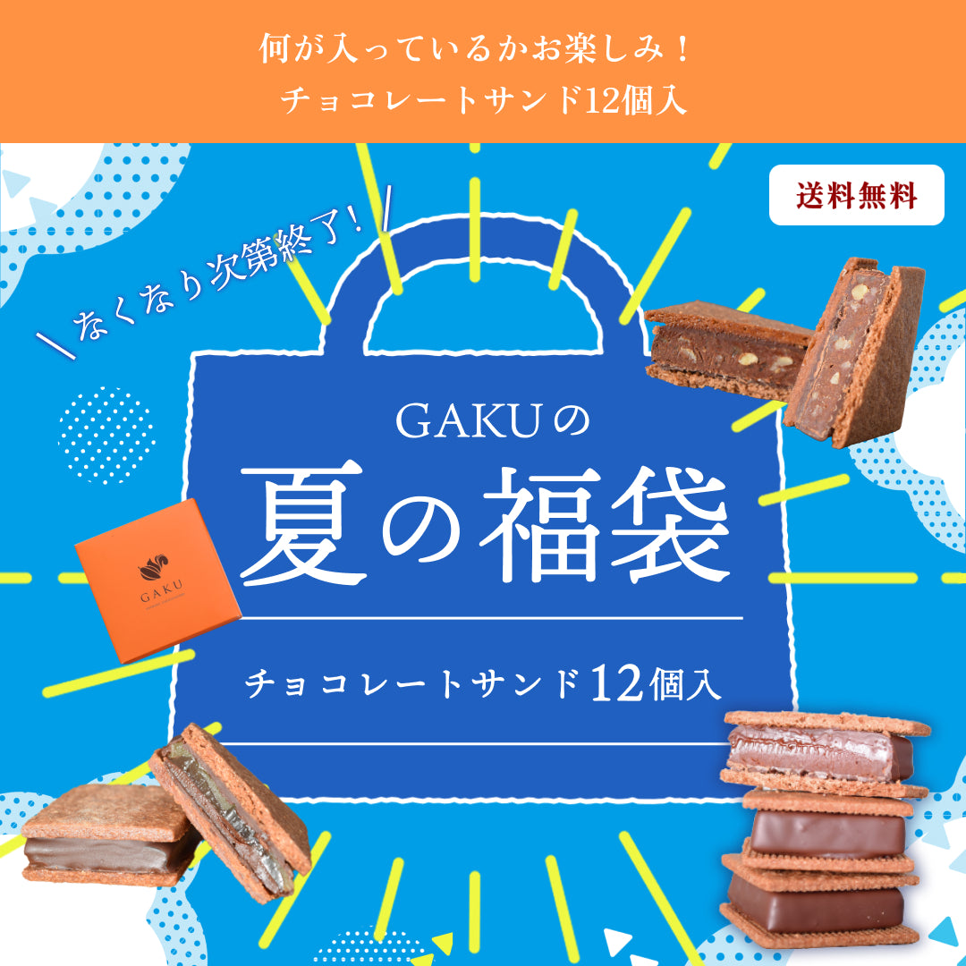 【夏の大満足福袋】【送料無料】何が入っているかお楽しみ！ チョコレートサンド12個入