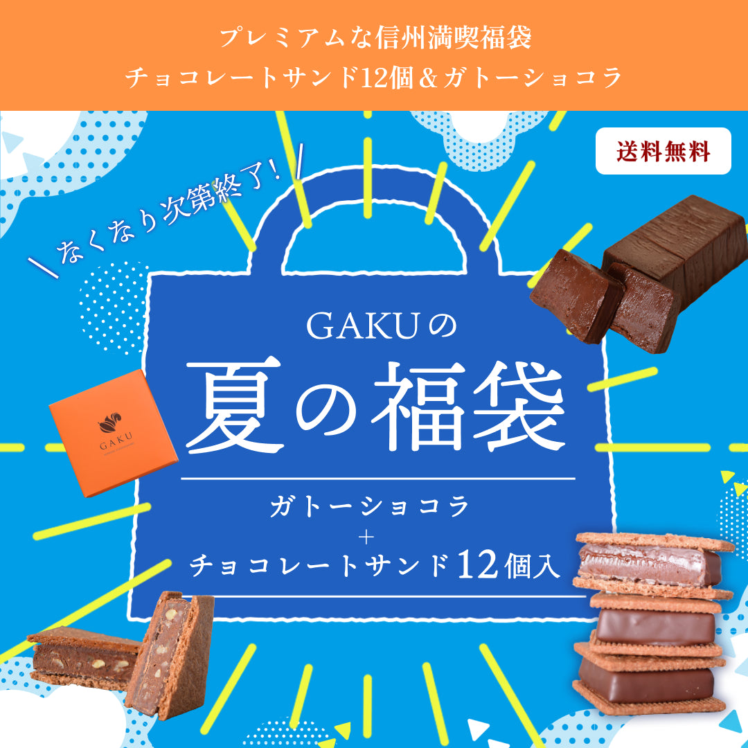 【プレミアムな信州満喫福袋】【送料無料】 チョコレートサンド12個＆ガトーショコラ
