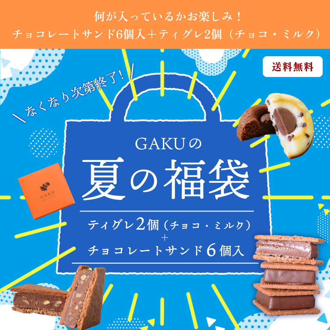【夏のお楽しみ福袋】【送料無料】何が入っているかお楽しみ！ チョコレートサンド6個入＋ティグレ2個