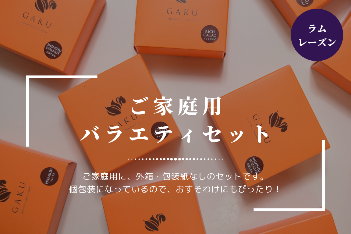 【ご家庭用に！】GAKUチョコレートサンド12個（ラムレーズン）